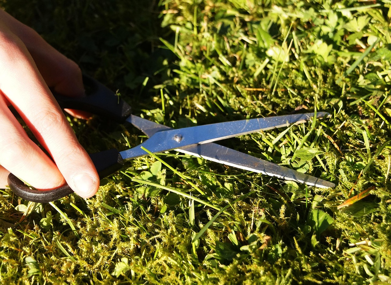 Lawn maintenance Phoenix