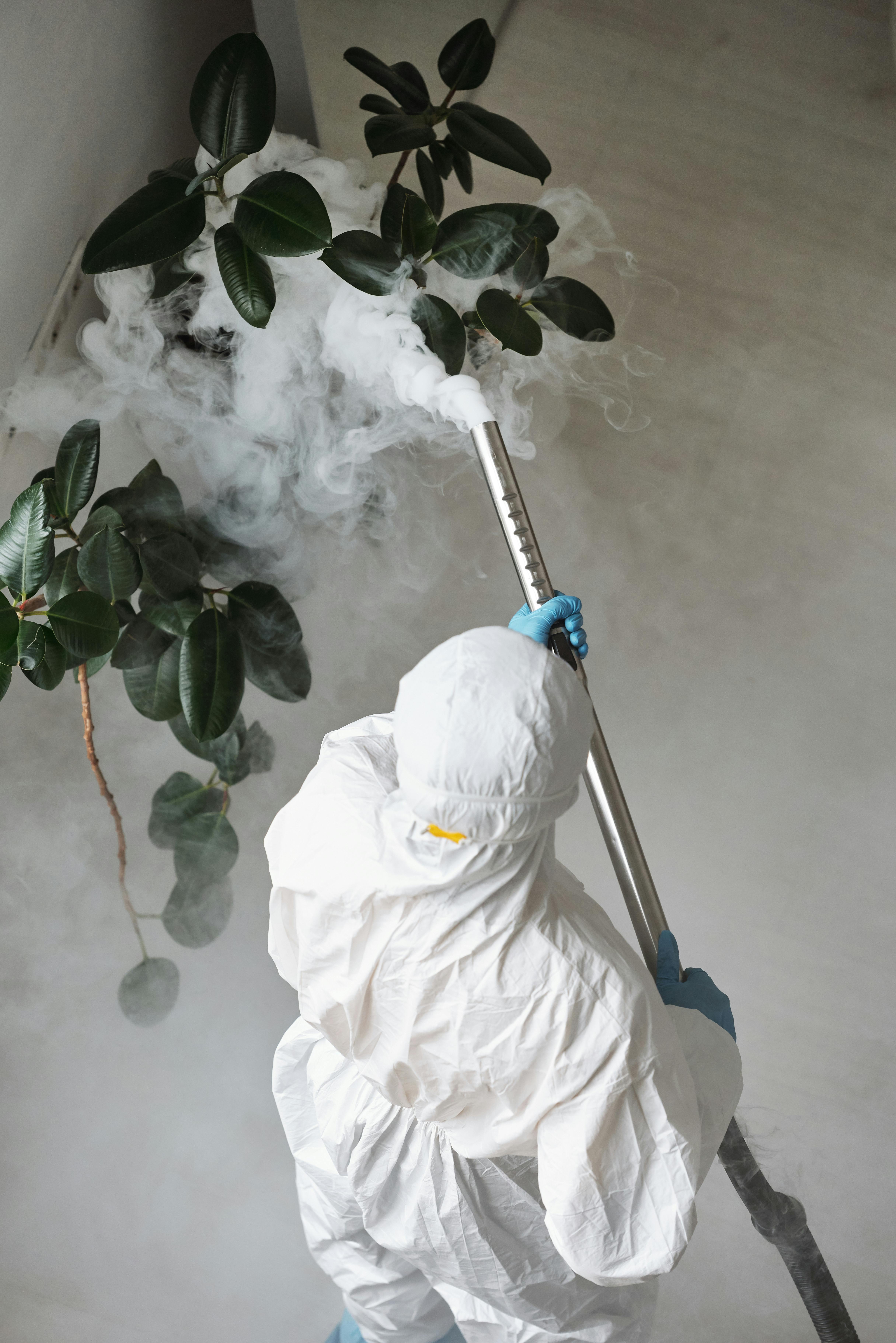 Ant colony treatment — Apopka