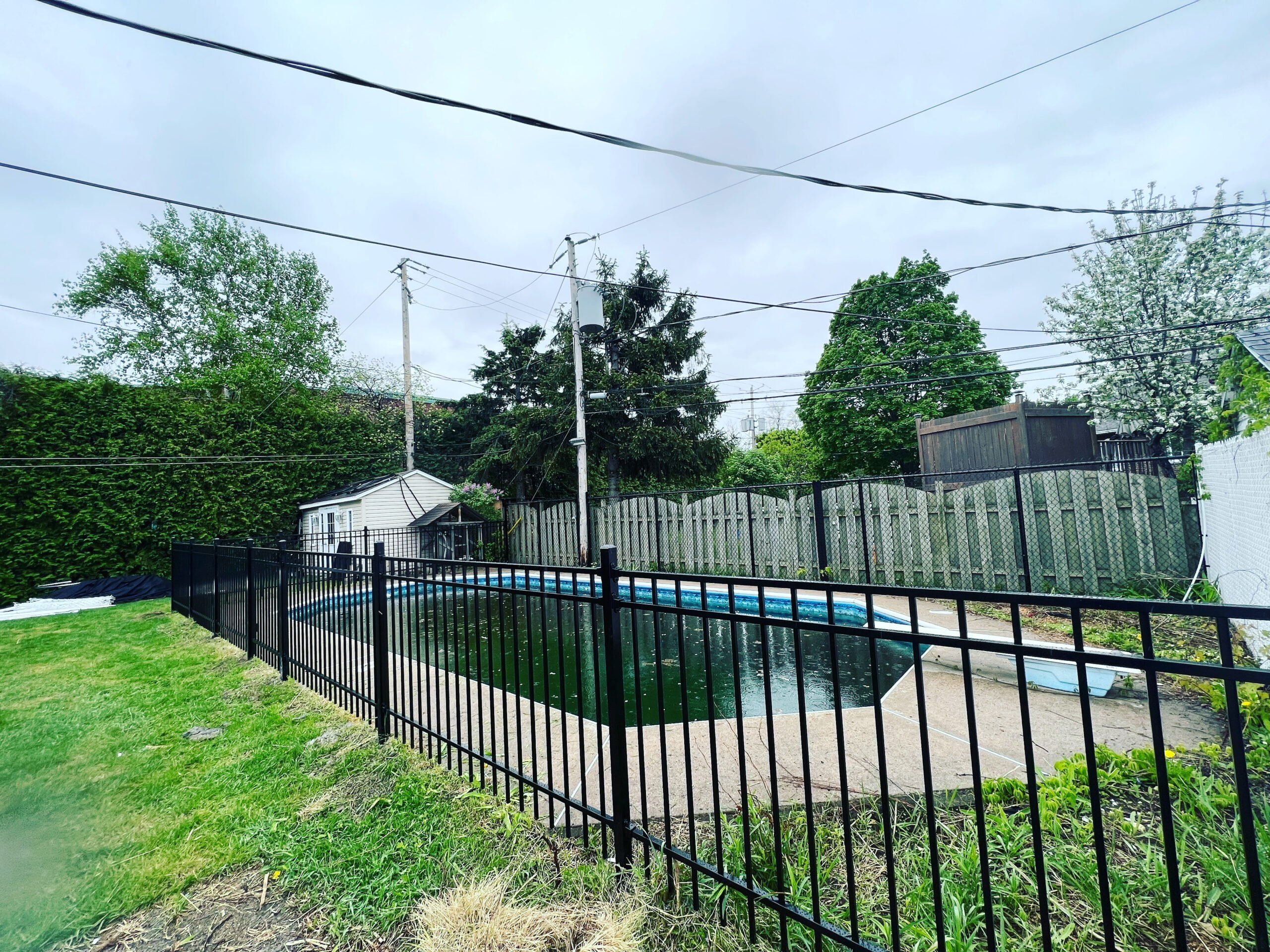 Ornamental Iron Fence